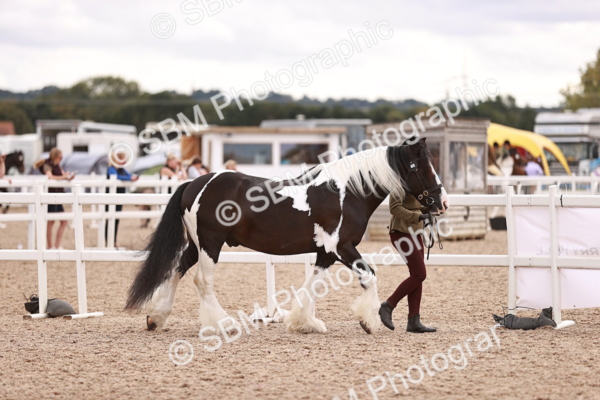 SBM_18463 - Class 420 - Ridden M&M