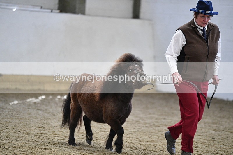 WJ5_5463 - Class 4 In hand M&M - small breeds