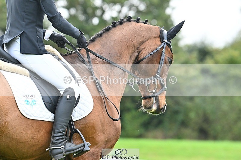 241024-095900-02070 - 301-Ilaria.Serra-DREAM.MACHINE