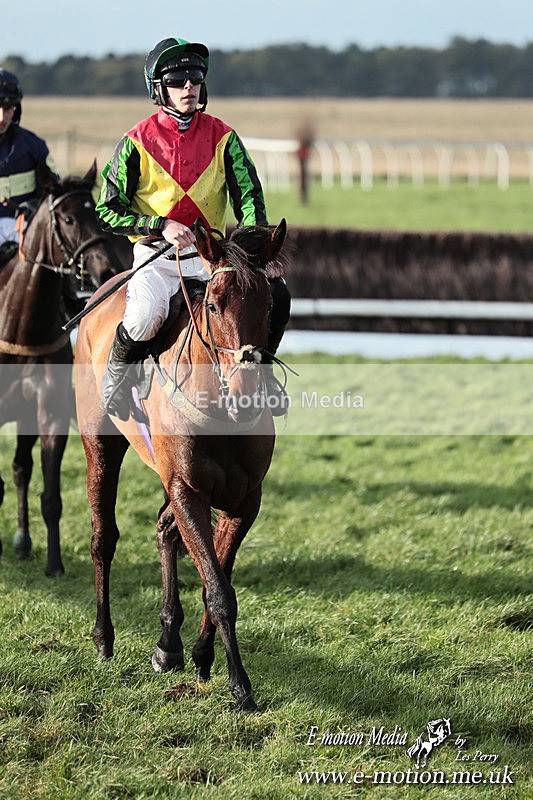 PtP 141225  1175 - New Forest Hounds PtP Larkhill 14/12/25