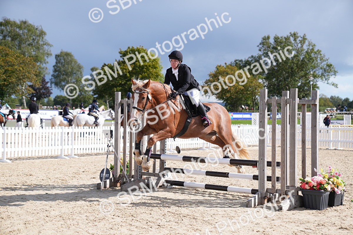 SBM_08544 - J56 Clear Round 70cm