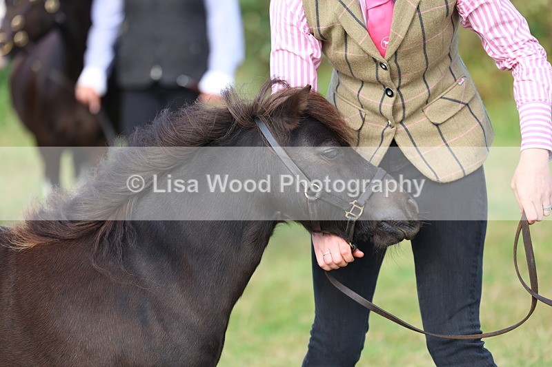 3E7A3272 - Class 12: M & M Small Breeds