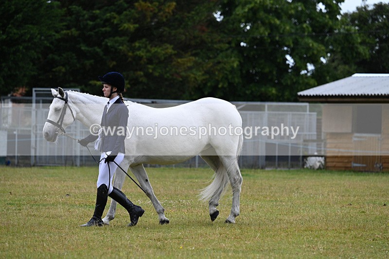 WJ7_6442 - Class 4a Prettiest Mare over 14hh