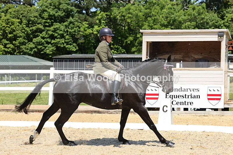 1X9A1858 - Class 12: Ridden Riding Horse/Hack