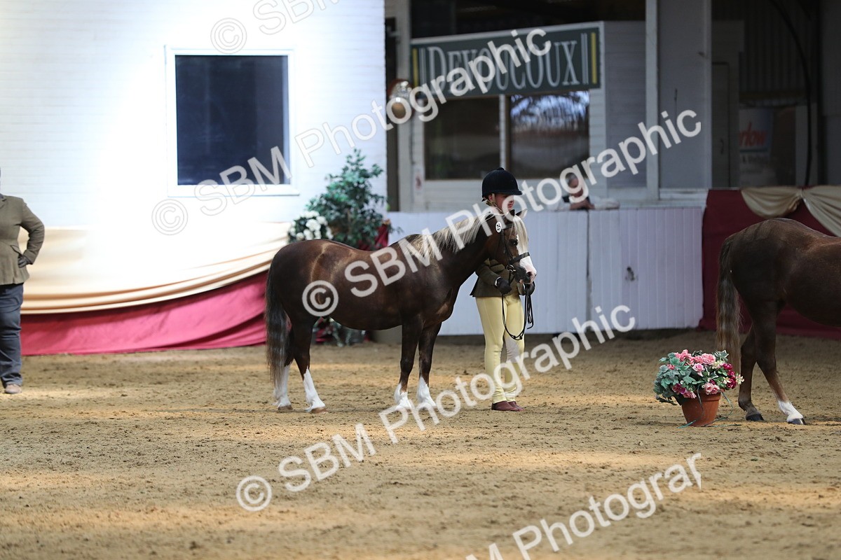 SBM_04303 - Class 7R Regional - IH Diamond