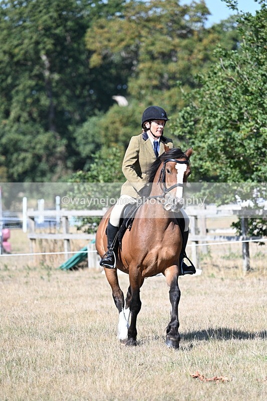 WJ7_3764 - Class 9 Mountain & Moorland Ridden
