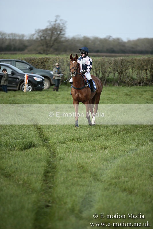 PtP 230319 325 - VWH Hunt Siddington Point-to-Point Racing 23/03/19