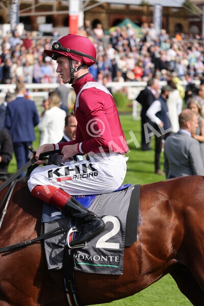 yr18082021r4-31 - Race 4 3.35pm Juddmonte International Stakes (British Champion Series race)