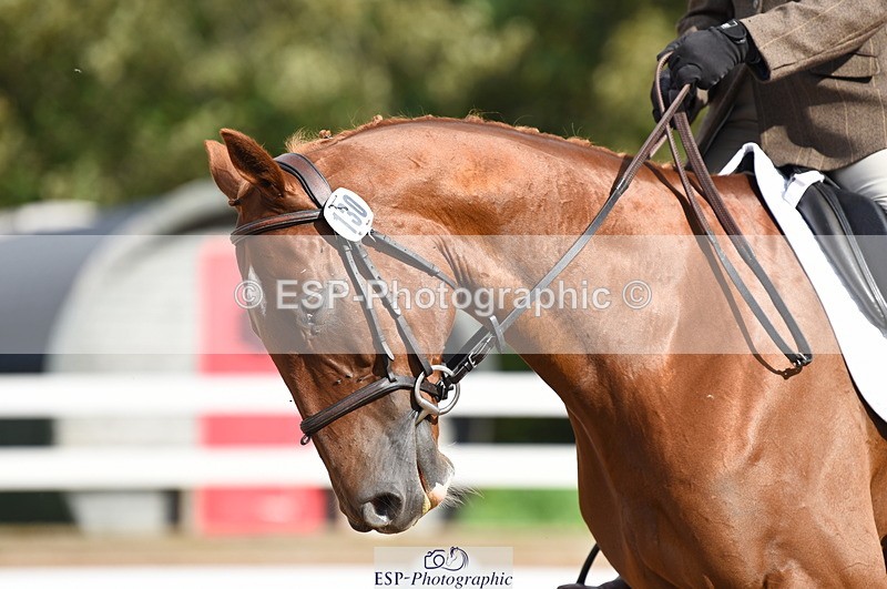 230912A-104050-00400 - Cls 5 Novice 39