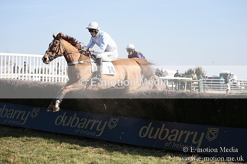 PtP 240218 371 - Vine & Craven Hunt Point-to-Point Barbury racecourse 24/02/18