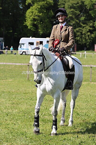 IMG_4688 - Working Hunter