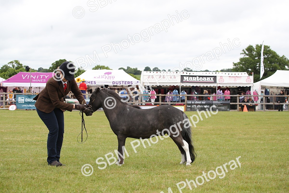 SBM_03985 - Class 23-25 - British Miniature Horse of the Year