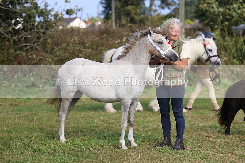 3E7A3213 - Class 12: M & M Small Breeds