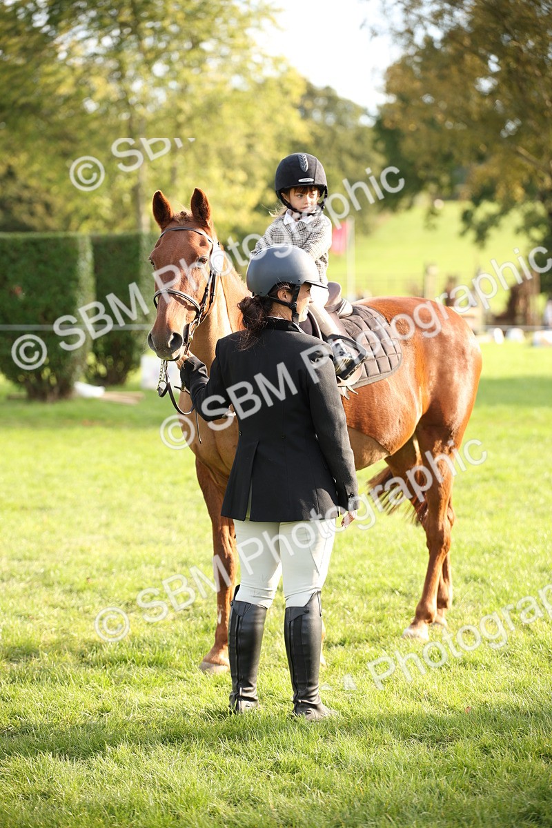 SBM_54286 - S27 - Mature Veteran - Ridden