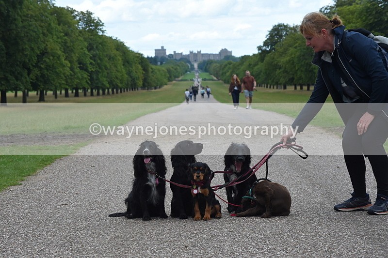 TT3_0479 - Time at Crossing 14:53 to 1526