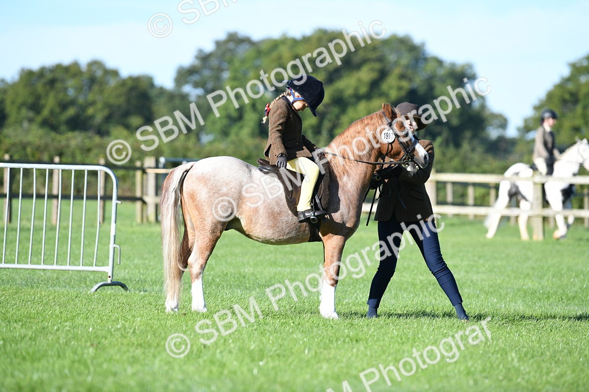 SBM_35329 - S17 - Condition & Turnout - Lead Rein