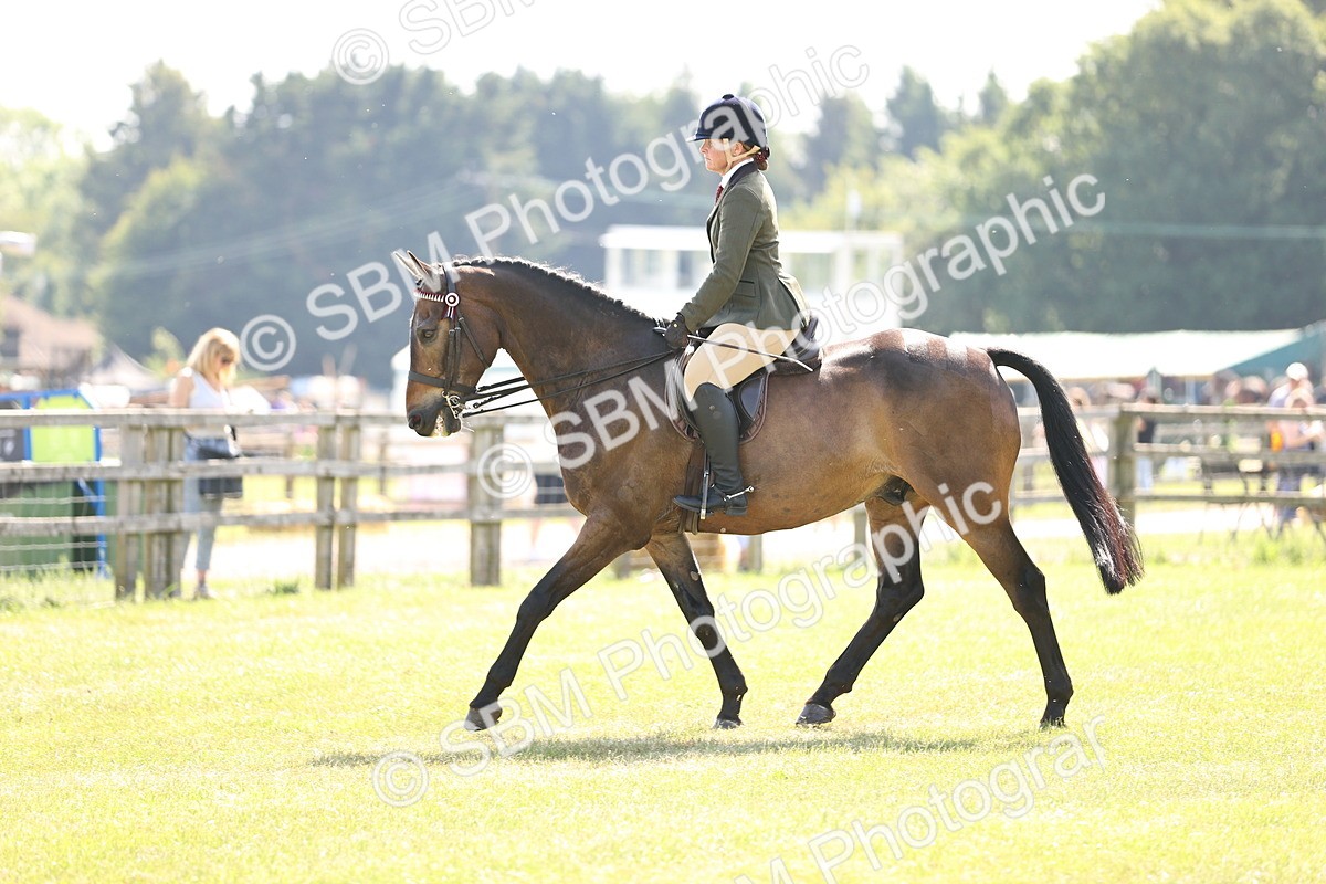 SBM_13010 - Class 75-76 LIHS BSHA Rising Star Hack Riding Horse