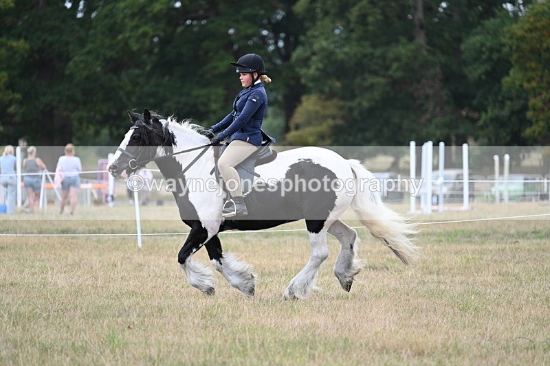 WJ7_5121 - Class 12 Ridden Cob