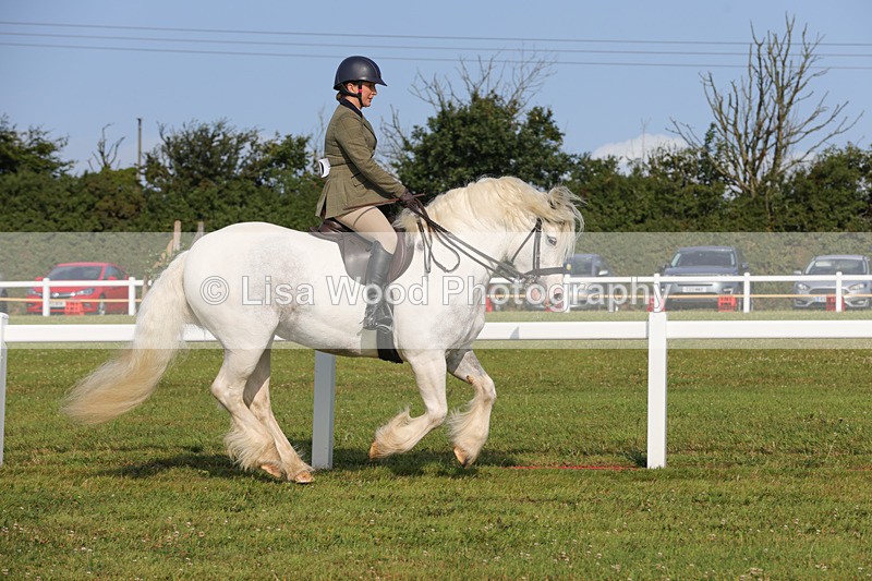1X9A3246 - Class 28: Ridden Native/Trad Coloured Pony