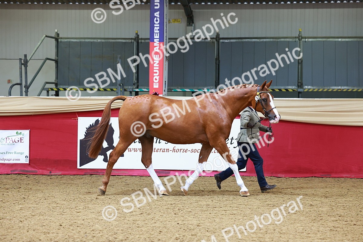 SBM_00533 - Class 3A - IH Pre-Vet
