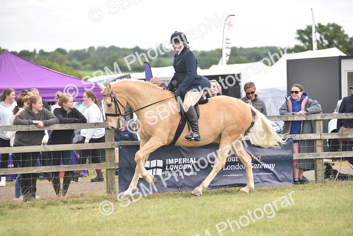 SBM_15938 - Class 117-122 - SSADL RIHS Qualifier