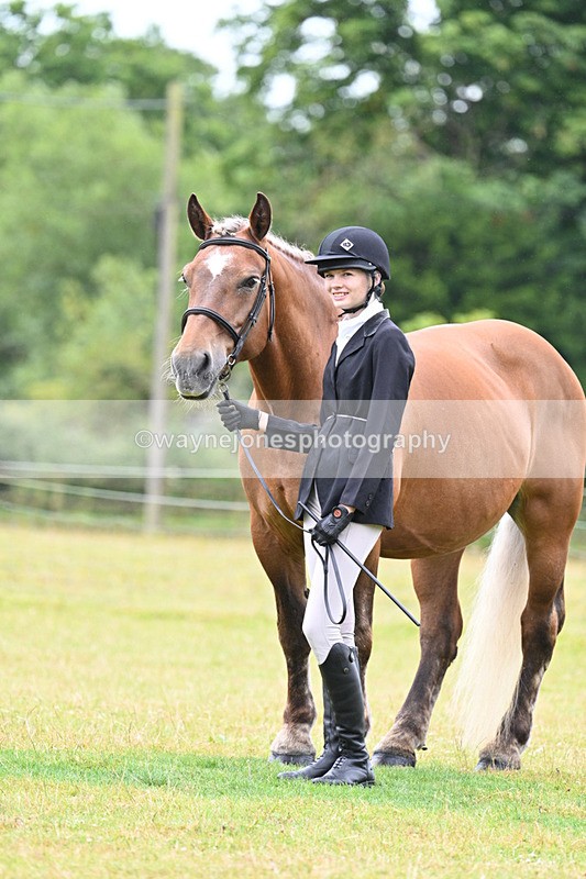 WJ7_6359 - Class 4a Prettiest Mare over 14hh