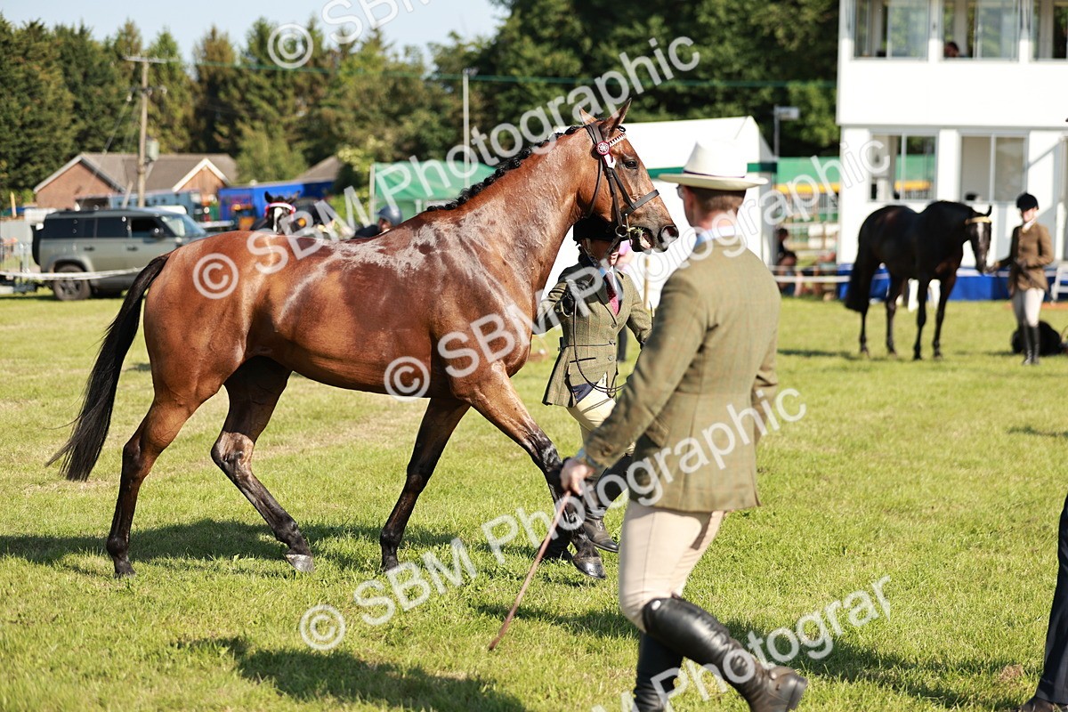 SBM_19288 - Class 115-116 - LIHS BSHA Rising Star Working Hunter & Show Horse