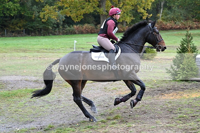 WJ7_3596 - Time 11:13 to 11:32