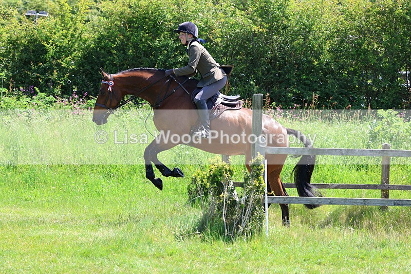 3E7A7462 - Class 31: Working Hunter Cob/Riding Horse