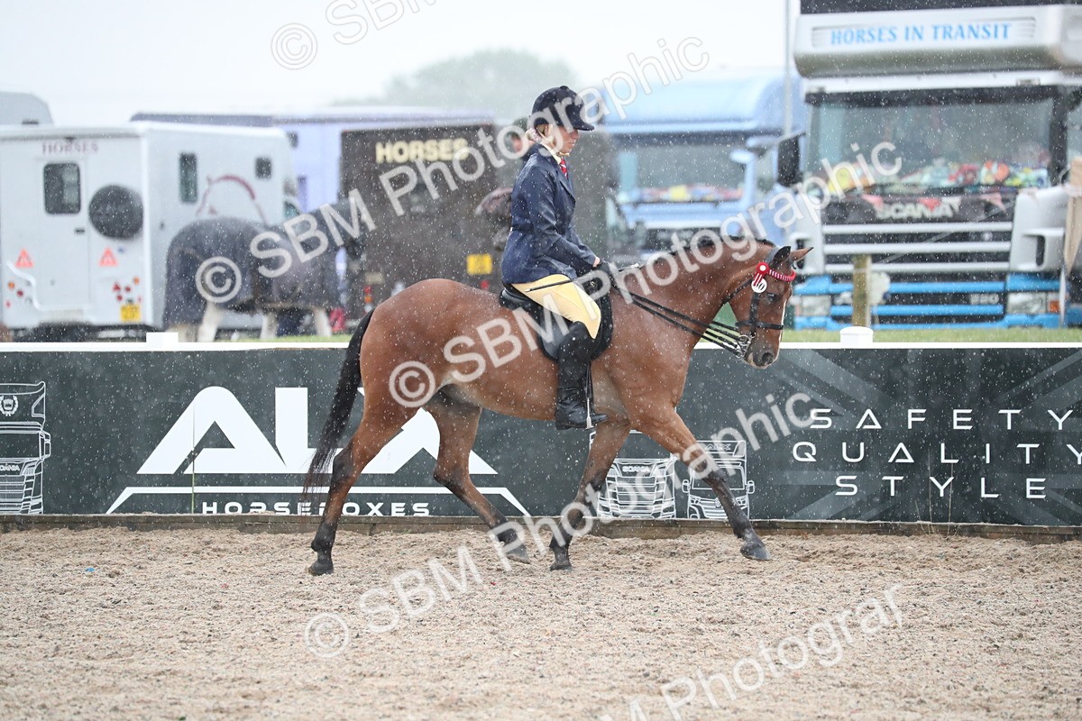 SBM_20413 - Class 601 - 2025 Area - Ridden Diamond