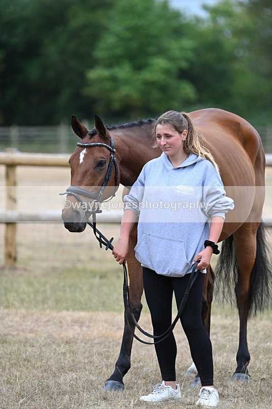 WJ7_9848 - Class 5a Most Handsome Gelding (above 14.2hh)