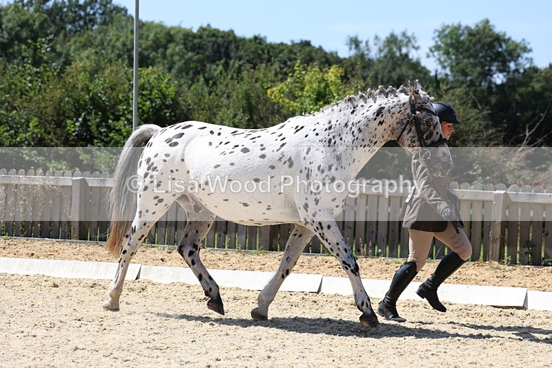 3E7A9410 - Class 29: Veteran In Hand