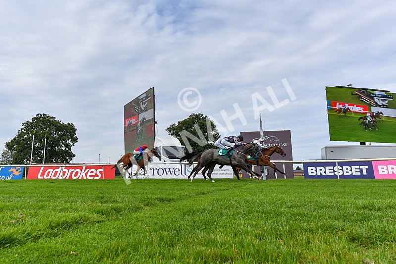 060925-Race 1-Dunkeld Dreamer-0723 - Race 1