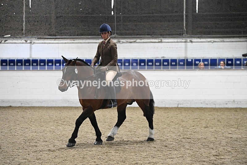 WJ7_3989 - Class 17 Ridden Cob