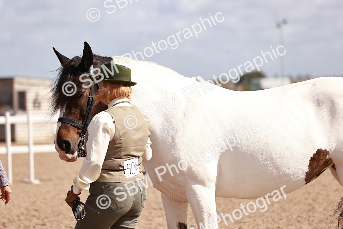 SBM_23003 - Class 707 - IH groom Helpers Class
