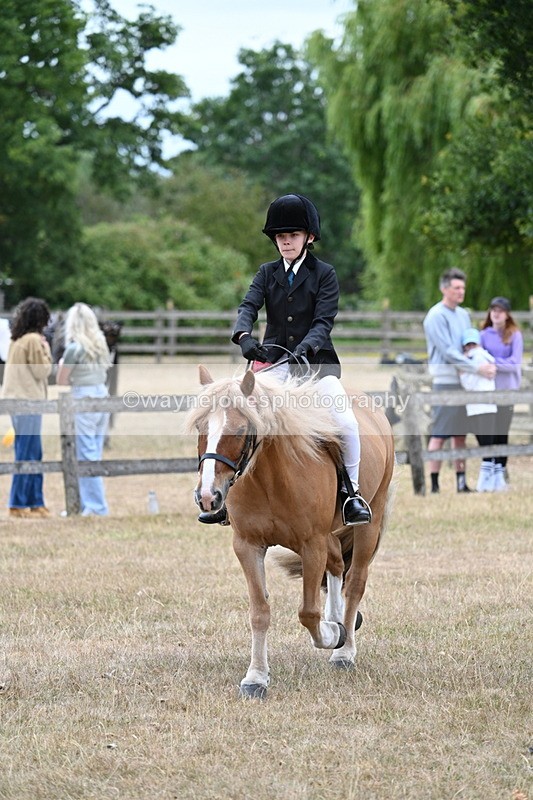 WJ7_7169 - Class 2 Best Rider