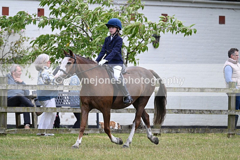 WJ7_9151 - Class 8 Ridden Veterans