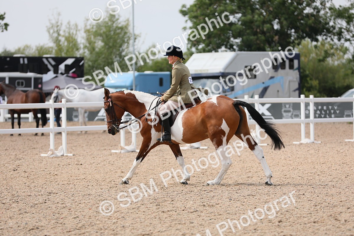 SBM_13423 - Class 308 Ridden Coloured Horse