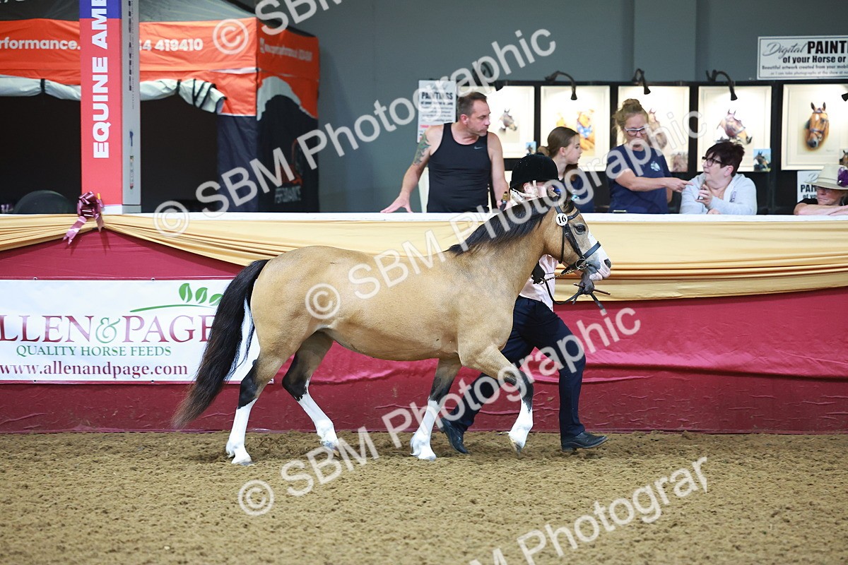 SBM_14681 - Class B - Junior Champ 11 to 16 Years