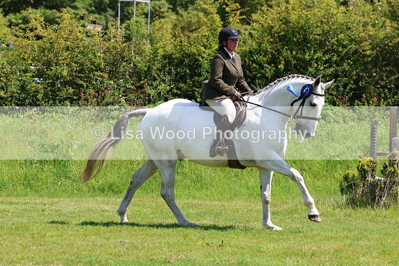 3E7A8050 - Working Hunter Championship