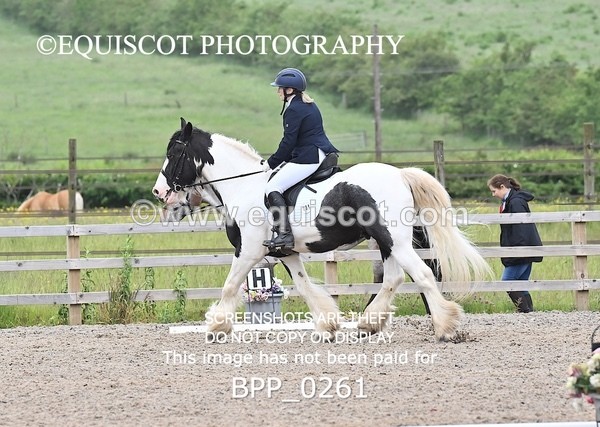 BPP_0261 - 31 E WYLLIE
