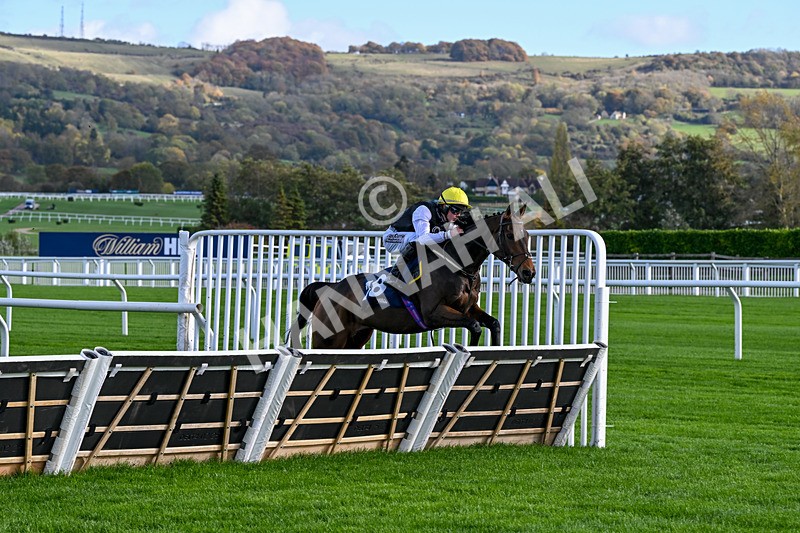 241025-Race 1-The Expensive One-2073 - Race 1