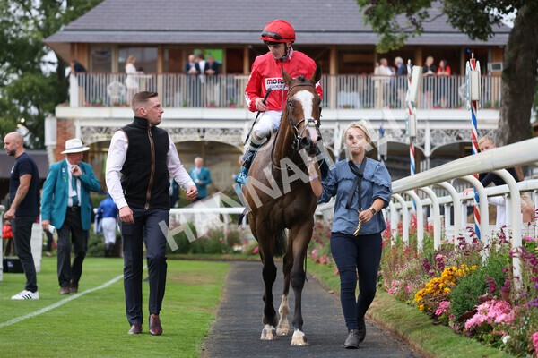 yr22072022r6-30 - Race 6 7.50pm Gallop Racing Stakes