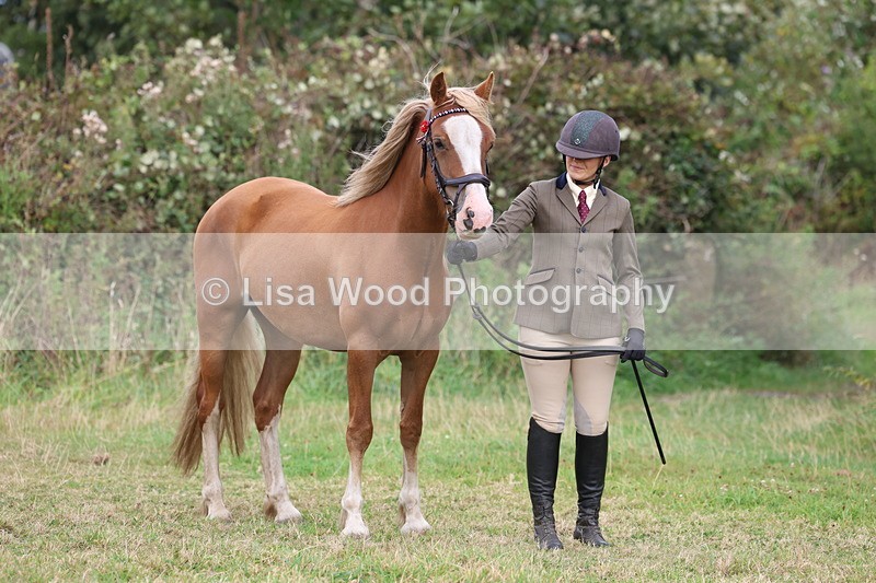 3E7A4915 - Class 16: Best Grass Kept