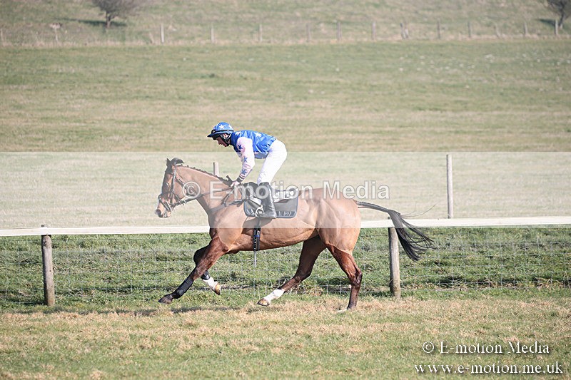PtP 230219 171 - Vine & Craven Point-To-Point - Barbury 23/02/19