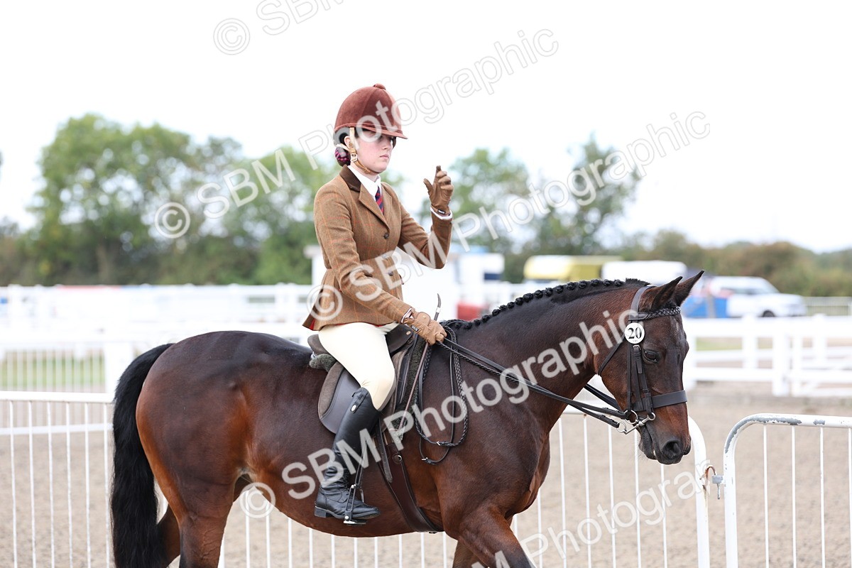 SBM_01459 - Class 52 - Ridden Veteran
