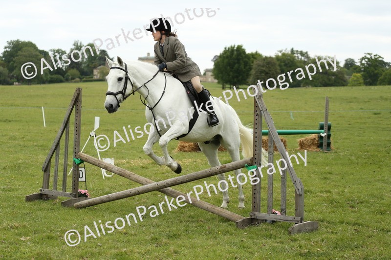 20250517-1466 - Class 22 - Open Working Hunter