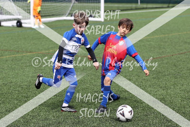 1DX32824 - Sun 7th U8 Boys