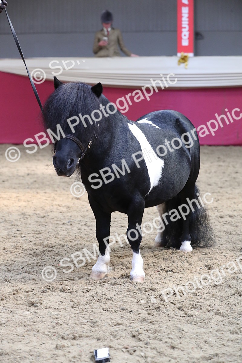 SBM_15340 - Class 501 M&M IH Supreme Final