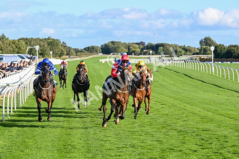 100924-Race 7-Desert Dream-0699 - Race 7